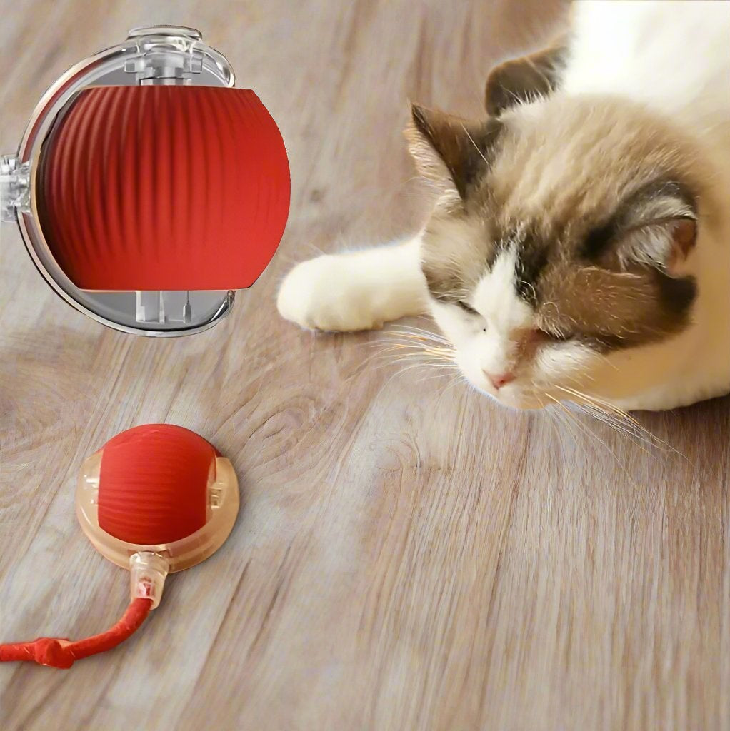 Cat playing with red interactive electronic toy on wooden floor, featuring a spinning mechanism. Ideal for pet entertainment and exercise.