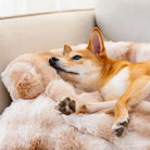 Dog lounging on a fluffy, fuzzy calming pet bed sofa protector. Cozy, comfortable dog mat for relaxation. Ideal for pet comfort and home decor.