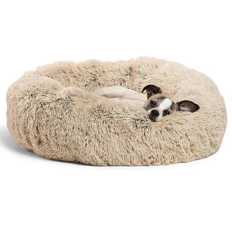 Fluffy dog bed in beige with a small dog resting inside, perfect for pet comfort and relaxation. Ideal cozy pet accessory for home use.