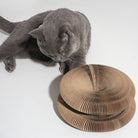 Gray cat playing with a foldable, durable accordion-style cat scratching board featuring a bell ball. Perfect for pet entertainment and claw care.