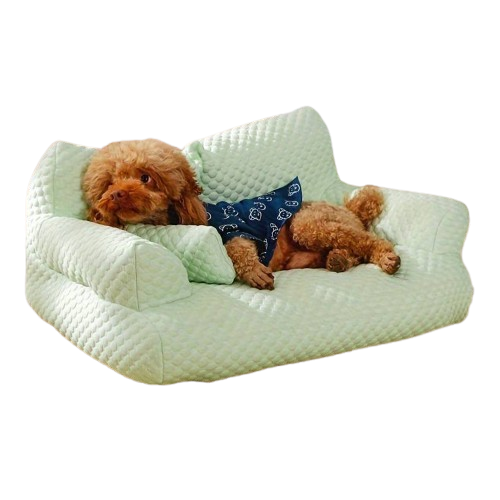 Cute brown poodle lounging on a light green quilted dog sofa, wearing a blue bandana. Cozy pet furniture, comfortable dog bed, stylish pet accessory.