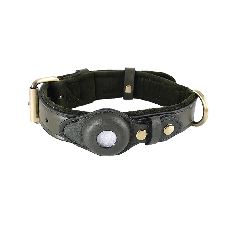 Green leather dog collar with AirTag holder, durable metal buckle, and D-ring. Perfect for pet tracking and safety. Adjustable and stylish design.