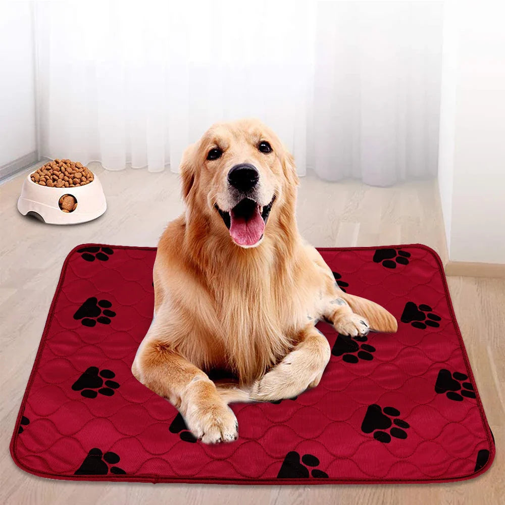 Golden retriever on red paw-print pet mat, indoor setting, dog food bowl nearby.