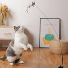 Cat playing with interactive feather toy on a stick in a modern living room; perfect for pet entertainment and exercise.