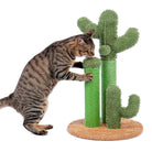 Cat playing with cactus-shaped scratching post; green sisal rope, durable design, pet furniture, interactive cat toy, home decor.