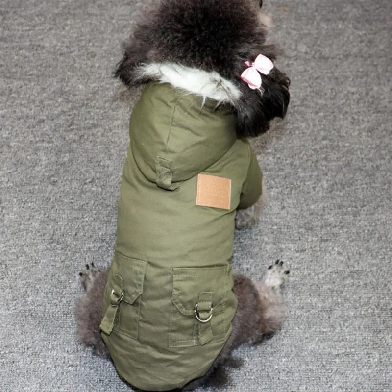 Dog wearing green winter coat with hood and pockets, sitting on gray carpet. Pet fashion, warm dog apparel, stylish dog clothing.