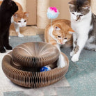 Cats playing with interactive paper honeycomb cat toy featuring a ball and pom-pom. Engaging pet activity center for indoor feline entertainment.