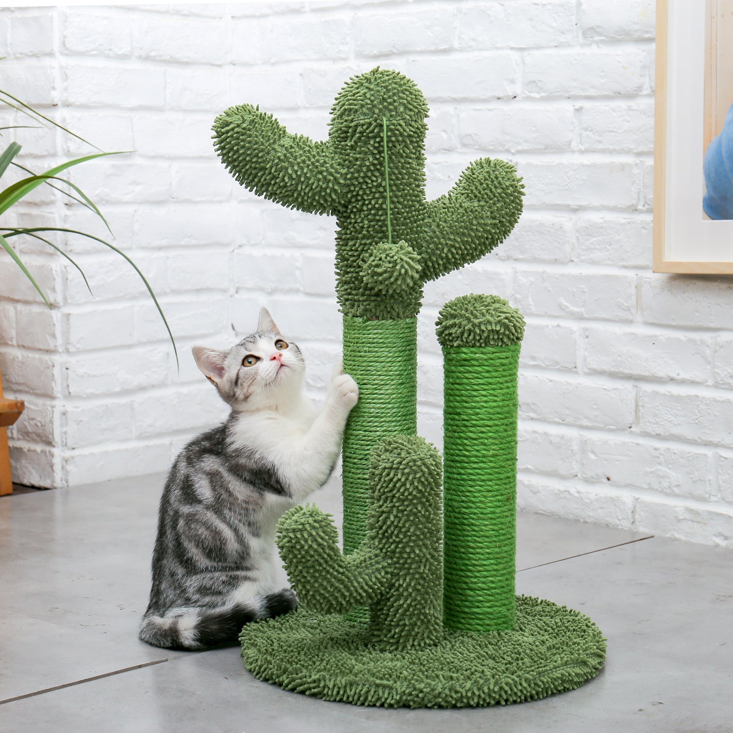 Cat playing with green cactus-shaped scratching post in modern home. Pet furniture, interactive cat toy, indoor activity, feline entertainment.