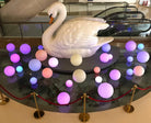 Large white swan sculpture surrounded by colorful LED spheres in a decorative indoor display. Vibrant lighting, modern art installation, elegant decor.