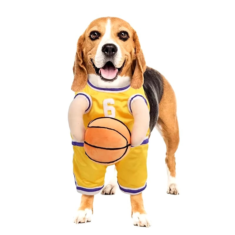 Beagle in yellow basketball costume with number 6, holding a ball. Cute pet outfit, dog sportswear, funny dog costume for basketball fans.