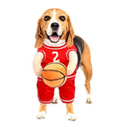 Beagle dog in red basketball costume with number 2, holding a plush basketball. Cute pet outfit for dogs, perfect for sports-themed events.