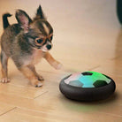 Chihuahua puppy playing with LED hover soccer ball toy on wooden floor, interactive pet toy, indoor exercise, fun for small dogs.