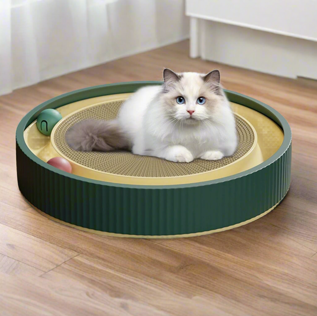 Cat playing on a round interactive scratching toy with ball track, green and beige design, on wooden floor. Ideal for pet entertainment and exercise.