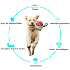 Golden retriever playing with a red and green dog ball toy, surrounded by icons highlighting benefits like dental care, entertainment, and intelligence boost.