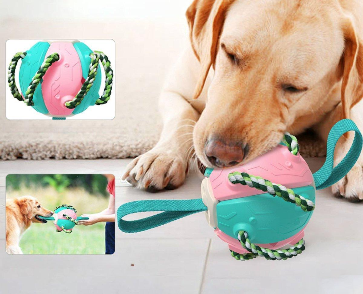 Dog playing with a colorful interactive chew toy ball featuring durable ropes and handles, perfect for pet exercise and dental health.