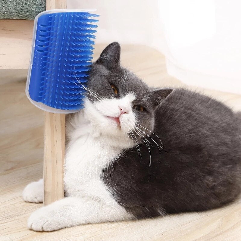 Cat enjoying blue wall-mounted grooming brush for self-grooming and scratching.