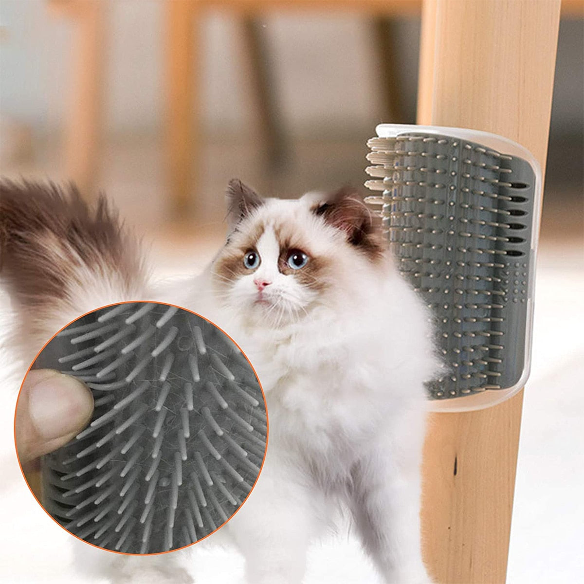 Cat self-grooming wall brush, gray bristles, mounted on wooden furniture, pet grooming tool.