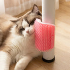 Cat enjoying pink wall-mounted grooming brush on wooden floor.