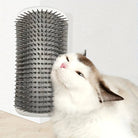 Cat rubbing against gray wall-mounted grooming brush for self-grooming and fur care.