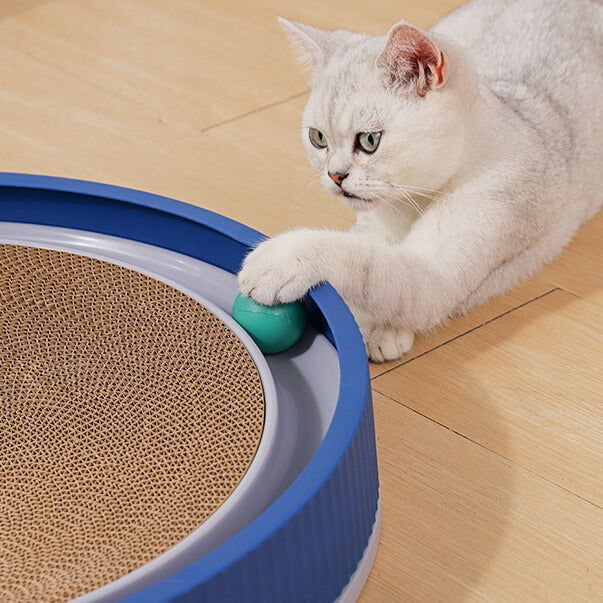 Cat playing with interactive toy; white feline pawing green ball on blue circular scratch pad. Perfect pet activity for indoor cats.