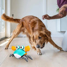 Golden Retriever playing with interactive crab toy indoors, showcasing pet-friendly entertainment. Perfect for dog owners seeking engaging pet toys.