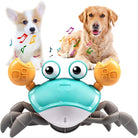 Interactive toy crab for dogs with music notes, featuring a corgi and golden retriever. Engaging pet toy, perfect for playful dog entertainment.