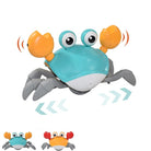 Toy crab with blue shell, orange claws, and googly eyes, designed for kids. Interactive crawling crab toy, perfect for children's playtime and development.