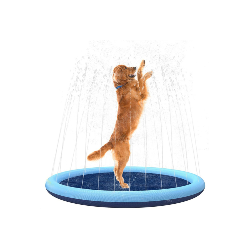 Golden Retriever playing in a blue inflatable splash pad with water jets, perfect for summer pet fun and outdoor dog activities.