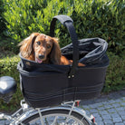 Dachshund in a black pet bike basket carrier on a bicycle, outdoors. Perfect for dog transport, cycling with pets, and pet travel accessories.