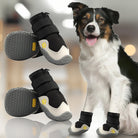 Dog wearing protective paw boots with anti-slip soles, designed for comfort and durability. Ideal for outdoor activities and paw protection.