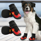 Dog wearing red and black paw protection boots with non-slip soles, ideal for outdoor activities. Durable pet footwear for all-weather conditions.