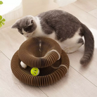 Cat playing with interactive spiral toy and ball on wooden floor, engaging pet activity, fun cat toy, indoor pet entertainment, playful kitten.