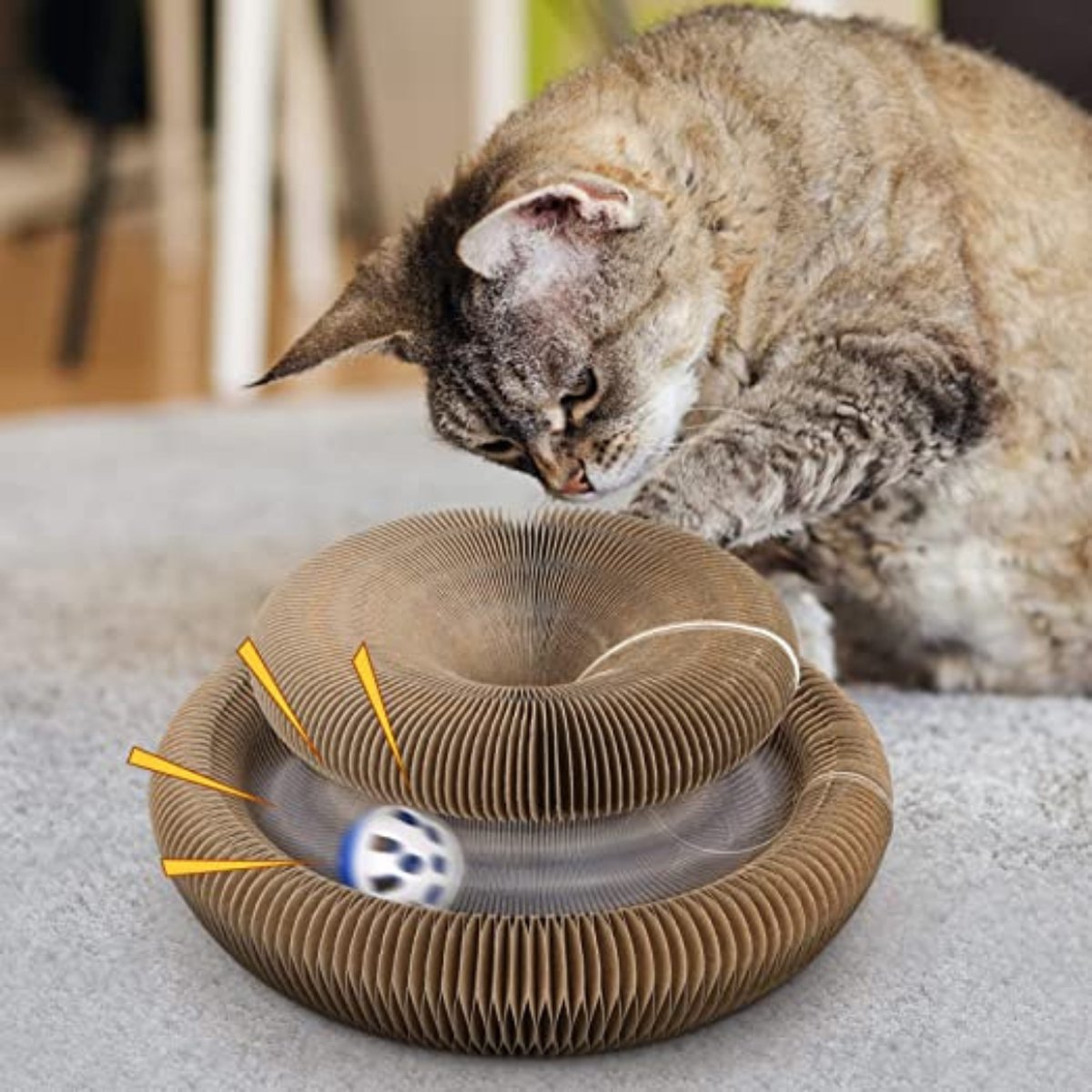 Cat playing with interactive spiral toy and ball on carpet. Engaging pet activity, cat entertainment, fun cat toy, indoor play for cats.