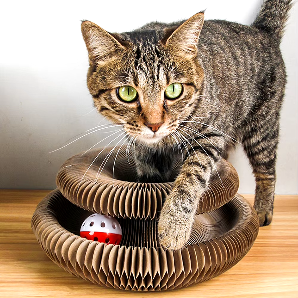 Tabby cat playing with a red and white ball in a cardboard spiral toy on a wooden floor. Interactive cat toy, pet entertainment, feline playtime.