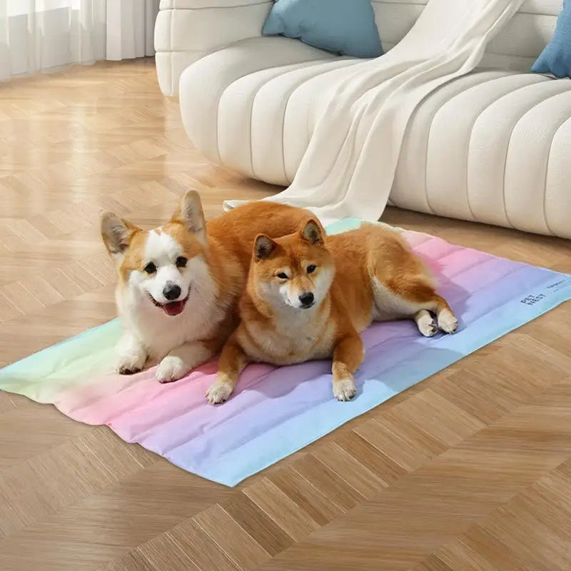 Two dogs lying on a rainbow gradient ice nest mat in a modern living room, perfect for pet cooling and comfort during summer.