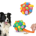 Colorful dog sniffle ball toy with rolled felt pieces for interactive play and mental stimulation, shown with a happy Border Collie and treat dispenser.