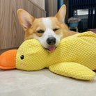 Corgi resting on a plush yellow duck toy, tongue out, on a marble floor. Cute dog, pet relaxation, adorable corgi, cozy home setting.