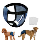 Dog diaper harness with adjustable straps and breathable mesh fabric, shown on two dogs. Includes three absorbent pads. Ideal for pet hygiene.