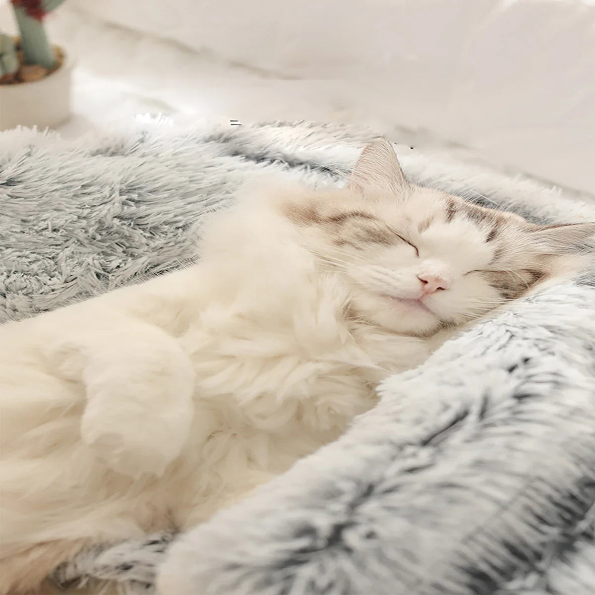 Fluffy white cat sleeping in a soft, gray faux fur pet bed, cozy and comfortable.