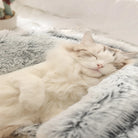Fluffy white cat sleeping in a soft, gray faux fur pet bed, cozy and comfortable.