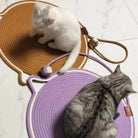 Two cats sitting on round, colorful rope mats; one mat is brown, the other purple. Perfect for pet comfort, home decor, and cat accessories.