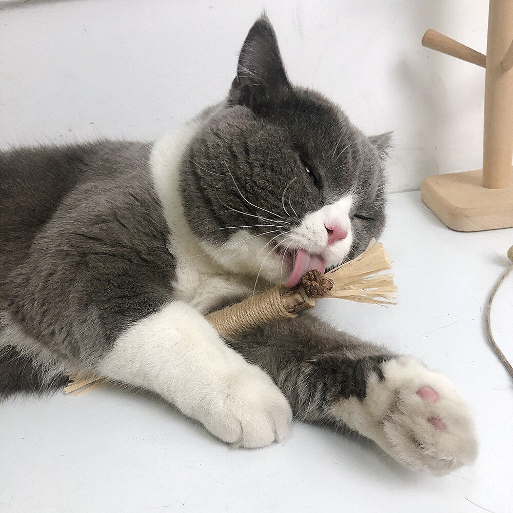 Gray and white cat licking a straw toy while lying on a white surface, showcasing playful behavior. Cute pet, feline playtime, domestic cat.