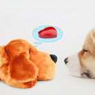 Plush dog toy with realistic design facing a puppy, featuring a red heart-shaped object. Perfect for pet playtime and interactive fun.