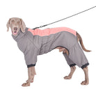 Dog wearing a gray and pink waterproof winter coat with leash, designed for cold weather protection. Pet apparel, dog clothing, winter dog jacket.