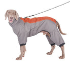 Dog wearing a gray and orange waterproof winter coat with leash attachment, designed for cold weather protection and comfort. Perfect for outdoor activities.