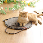 Golden British Shorthair cat lounging on a woven cat scratcher mat with rope toy, surrounded by floral decor on wooden floor.