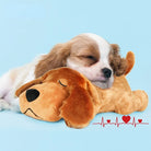 Cute puppy sleeping on a plush dog toy, blue background, heart and heartbeat graphic. Perfect for pet lovers, adorable puppy image, cozy scene.