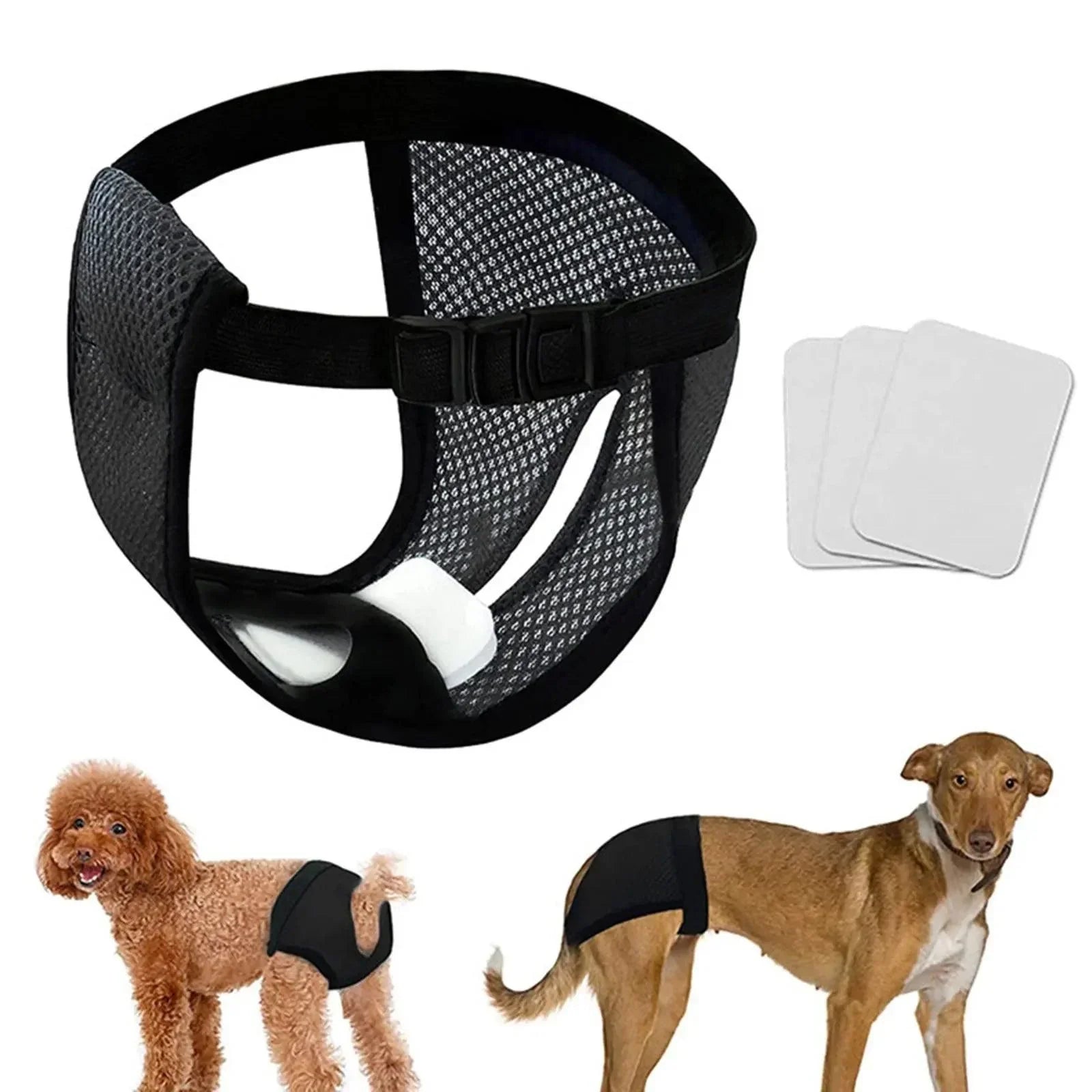 Dog diaper harness with adjustable straps and breathable mesh, shown on two dogs. Includes three absorbent pads. Ideal for pet hygiene and comfort.