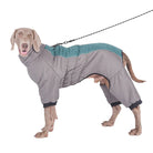 Dog wearing a gray and teal winter coat with leash, designed for warmth and comfort. Ideal pet apparel for cold weather.