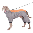 Dog wearing a gray and orange waterproof winter coat with leash attachment, designed for warmth and comfort. Ideal for cold weather pet apparel.